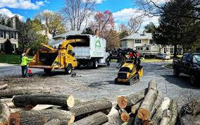 Tree and Shrub Care in Bend, OR